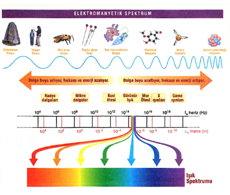 Manyetik Dalgalar Dünya'yı Kuşattı - İlgili Görsel