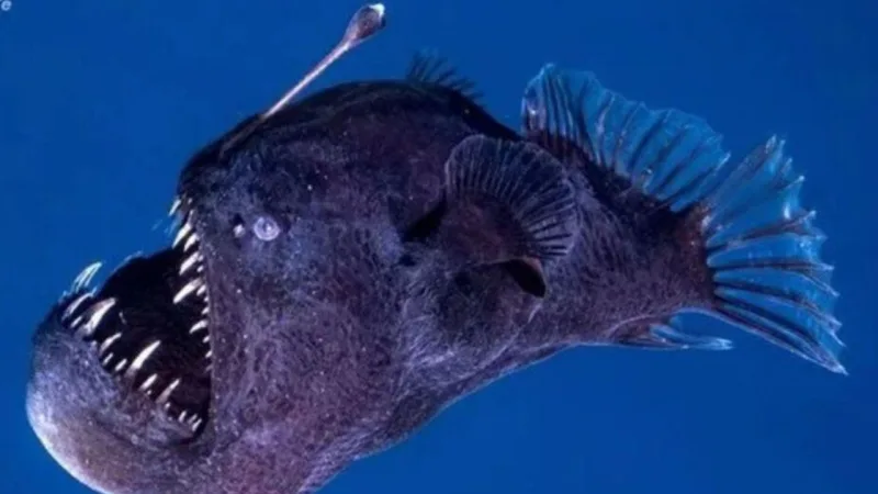 İspanya Adalet Bakanı Yusuf Dikeç Paylaştı - İlgili Görsel