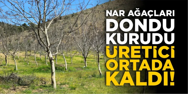 Liyakat Dondu - İlgili Görsel