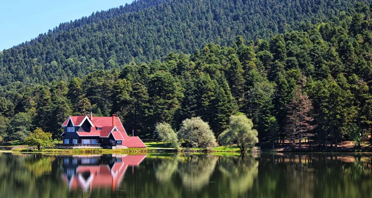 Güvenlik kameraları