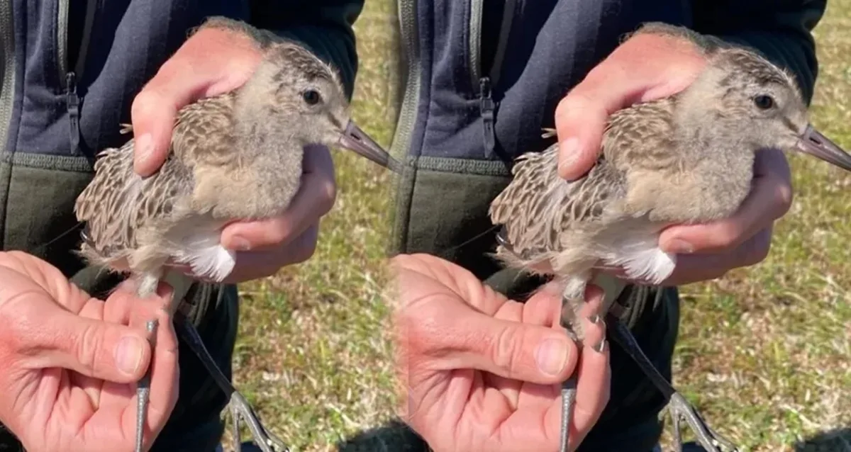 13 bin kilometreyi mola vermeden uçan modern yolcu uçağının havada çekilmiş fotoğrafı.
